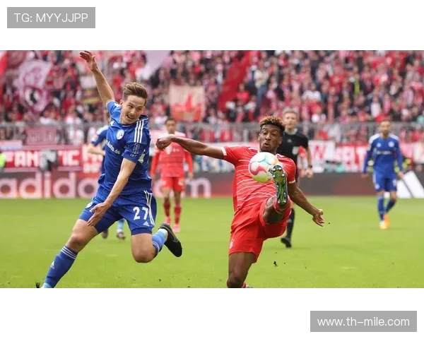 德甲最新积分榜全面解析与球队排名趋势追踪